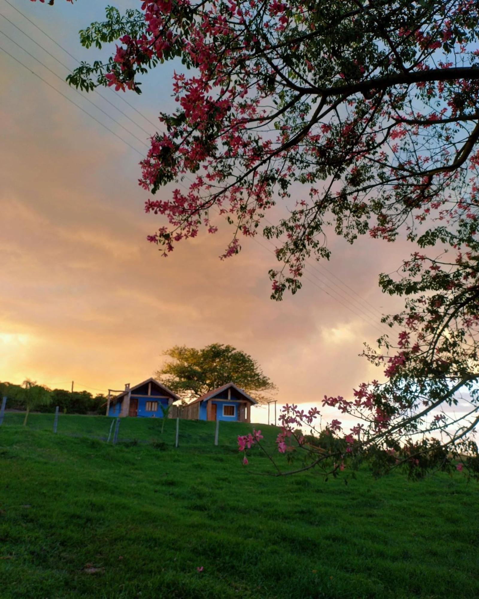Encantos De Minas *